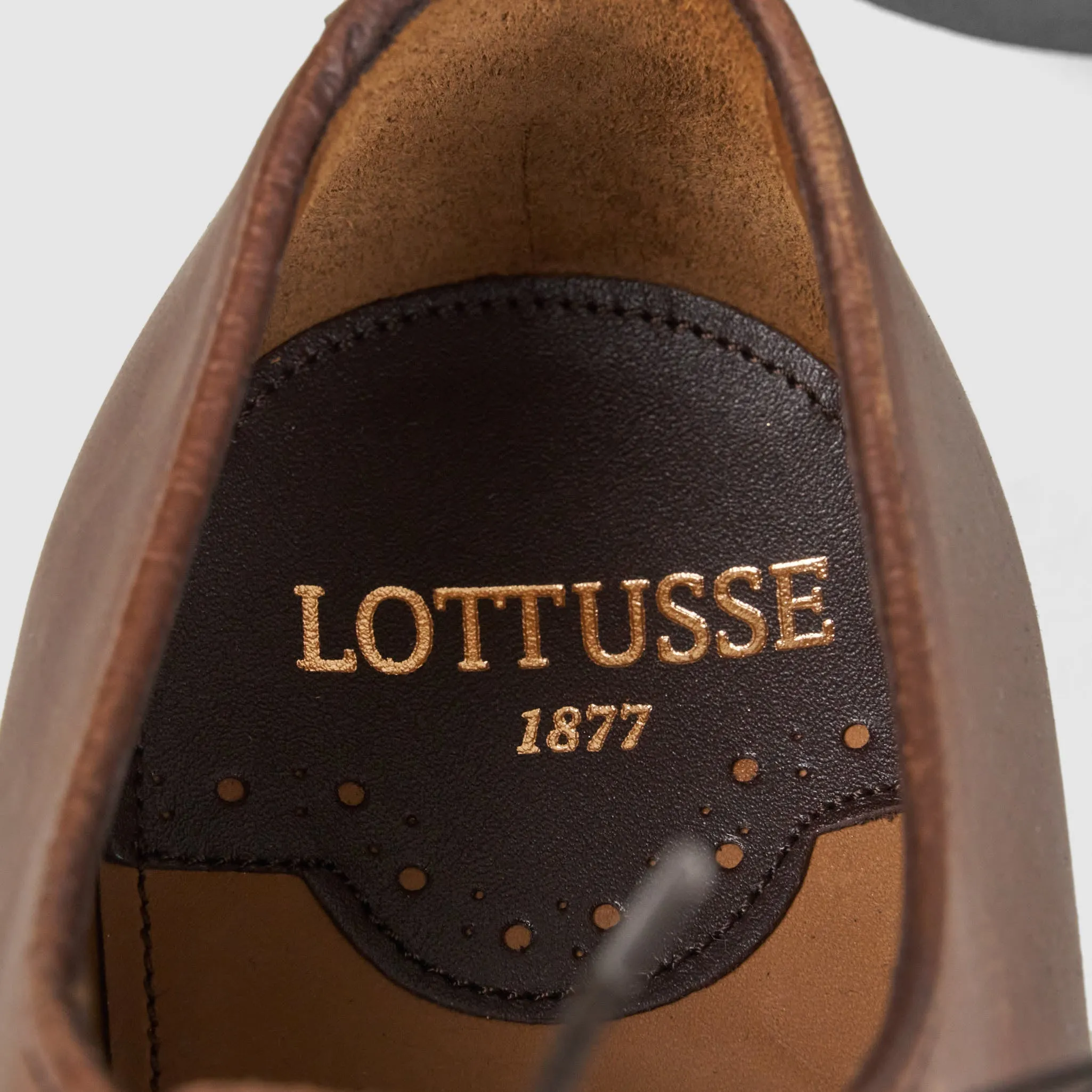 Lottusse Chromex Classic Shoes